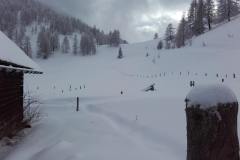 20170207_122823