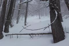 20170208_121536