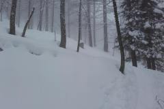 20170208_121540