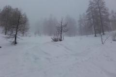 20170208_123312