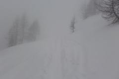 20170208_125844