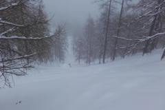 20170208_135958