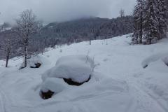20170208_143645