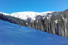 20170210_112005