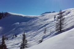 20170210_123115