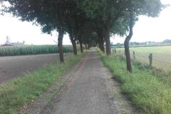 20170905_153639
