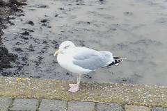 20171226_133241