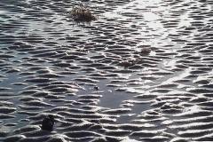 20171226_141517