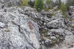 20180911_094427