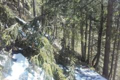 20190517_113216