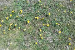 20190517_143240