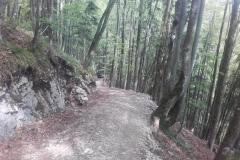 20190517_154147