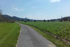 20190622_121109