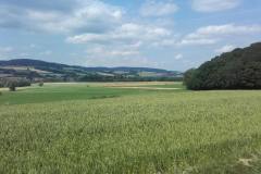 20190622_132239