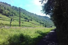 20190624_111953