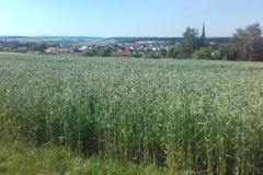 20190624_165032