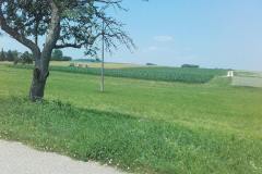 20190627_132941