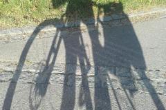 20190629_070209