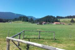 20190629_111416