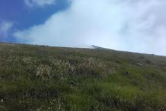 20190811_112014