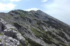 20190812_121404