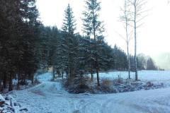 20201121_083031
