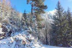 20201121_090232