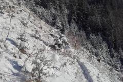 20201121_091109