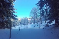 20201121_093947