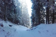 20201121_093951