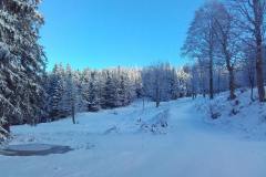 20201121_094034