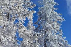 20201121_095956