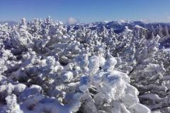 20201121_104957