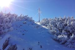 20201121_110307
