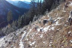 20201121_125913