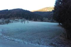 20201127_075456