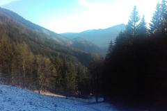 20201127_083437