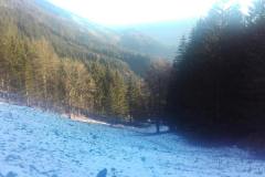 20201127_083440