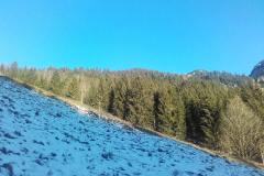 20201127_083446