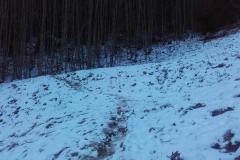 20201127_083449