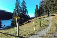 20201127_084216