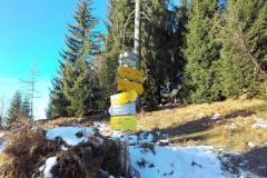 20201127_084848