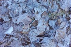 20201127_141420