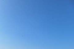 20250619_080609