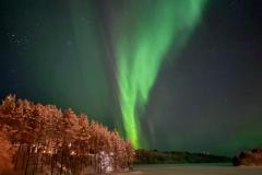 d4d752e0-5939-4def-8cea-ba3a9932f35f